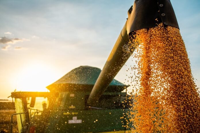 Foto: Divulgação/Agrovale
