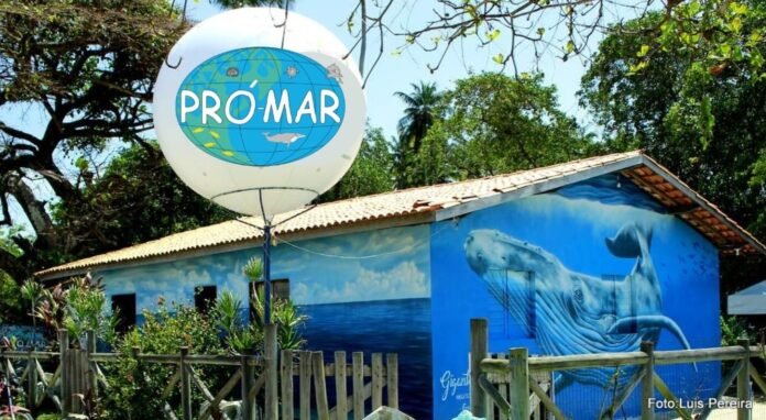 Foto: Luis Pereira