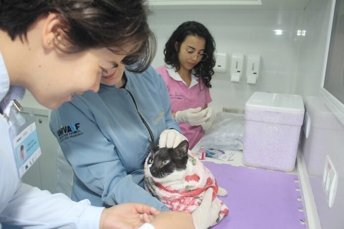 Fotos: Edinazio Dias