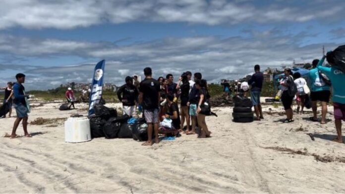 GAP removeu resíduos de praias. Crédito: Divulgação