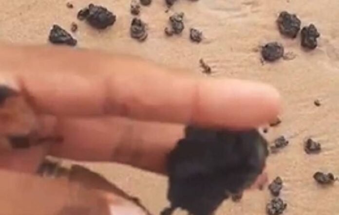 Foto: reprodução/vídeo