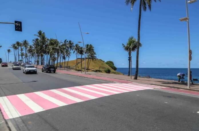 Segundo o Instituto Nacional do Câncer (Inca), o câncer de mama é o tipo que mais acomete mulheres em todo o mundo - Foto: Bruno Concha - Secom/Salvador