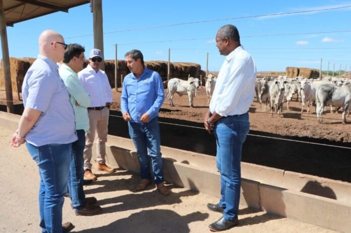 Crédito: Foto Divulgação