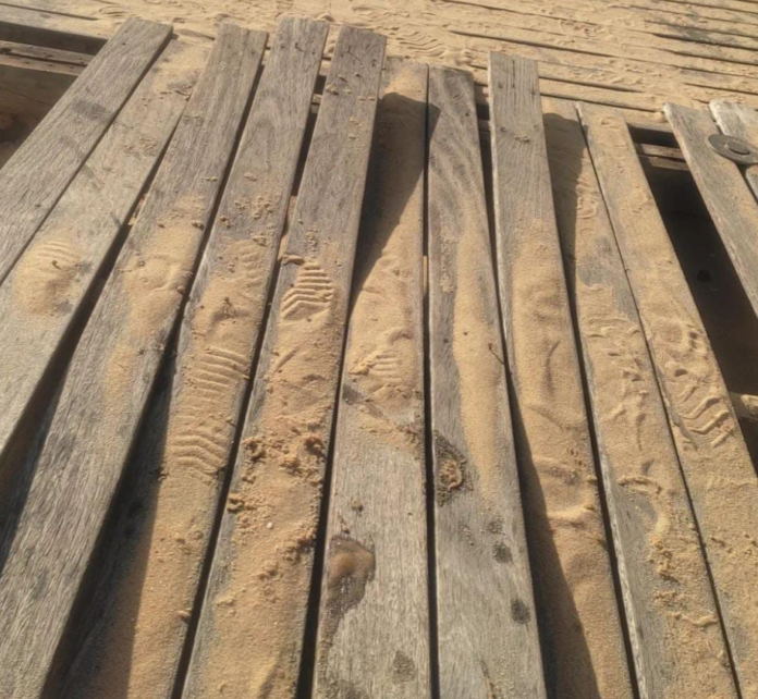 Crédito Foto: Divulgação