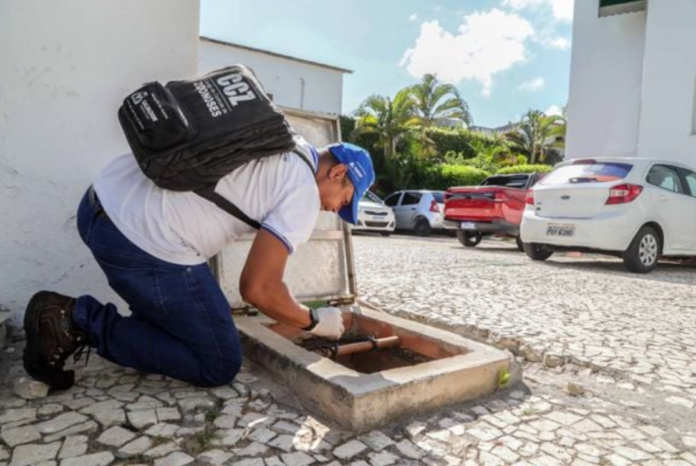 CCZ realiza inspeção contra mosquitos. Crédito: Divulgação