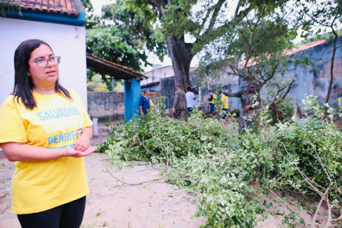 Salvador Contra a Dengue: confira a programação do CCZ para o combate à Dengue nesta semana Crédito: Divulgação