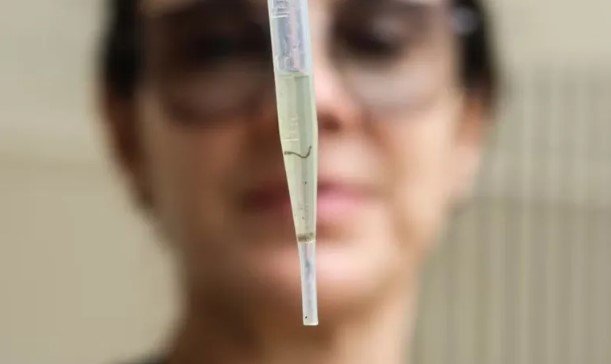 Subúrbio tem maior índice de infestação da dengue em Salvador. Foto: Rogério Capela/Divulgação