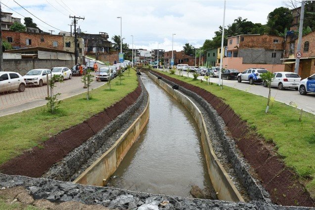 Antes, local tinha apenas vegetação e insetos Crédito: Valter Pontes / Secom PMS