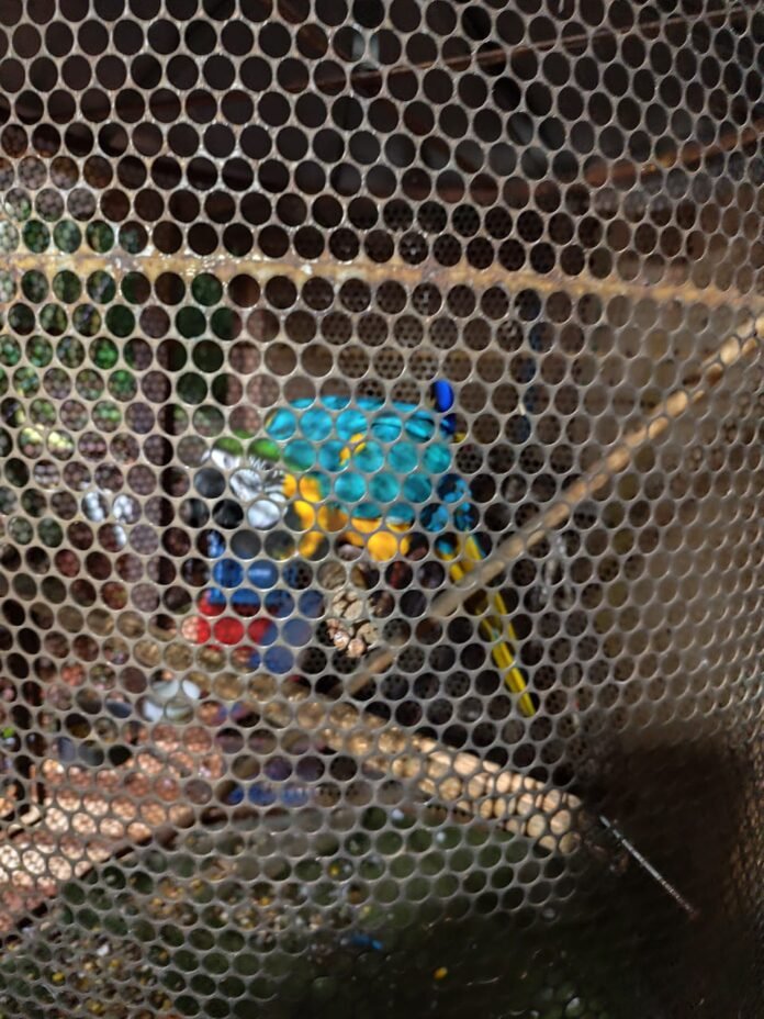 Santa Catarina - crédito PMASC (1)