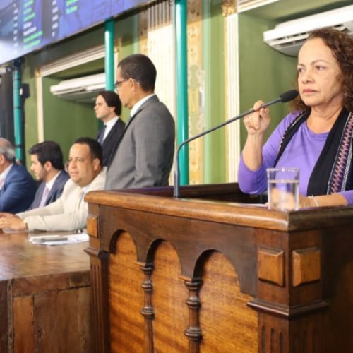 "A obra abandonada da Escola do Curralinho foi avaliada em R$12,5 milhões", diz Aladilce Souza

Foto: Divulgação