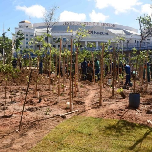 Foto: Priscila Machado / Secom PMS