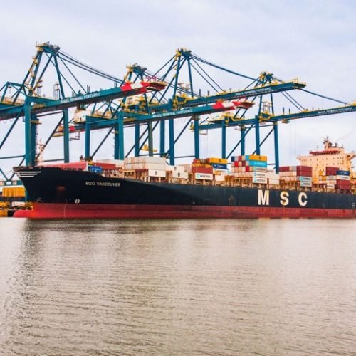 Entre os produtos que tiveram tarifa de importação reduzida a zero estão medicamentos; fungicidas e inseticidas para controle de pragas na agricultura; insumos para indústria têxtil; lúpulo para fabricação de cerveja; e produtos usados em nutrição hospitalar 

Foto: Vosmar Rosa/MPor