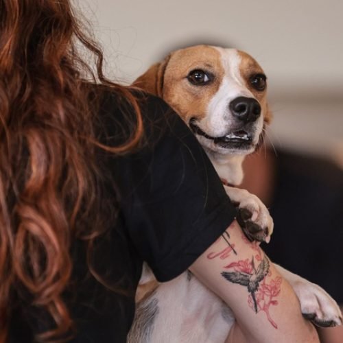 Foto: Agência Brasil/EBC