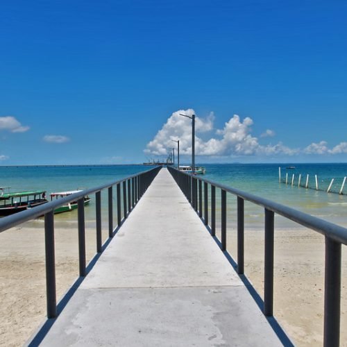 Foto: Feijão Almeida/GOV/BA