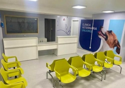 Cirurgia, vacinação e exames de imagem estão entre os serviços oferecidos no Campus Paralela

Foto: Divulgação/Unijorge