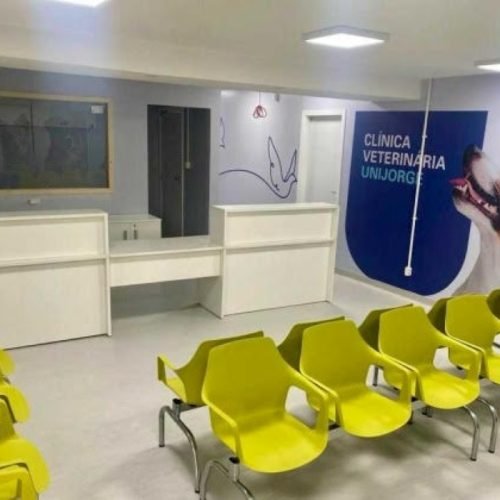 Cirurgia, vacinação e exames de imagem estão entre os serviços oferecidos no Campus Paralela

Foto: Divulgação/Unijorge