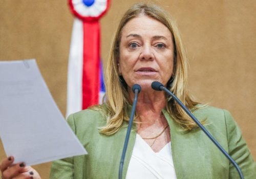 Deputada protocolou projeto na ALBA que regulamenta política de combate à violência contra a mulher

Foto: VannerCasaes/AgênciaALBA