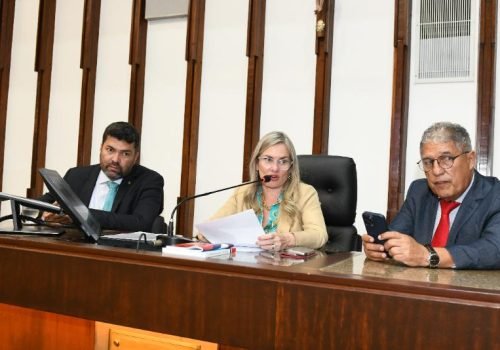Em tarde bastante produtiva, deputados apreciaram 22 proposições

Foto: PauloMocofaya/AgênciaALBA