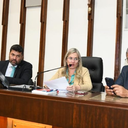 Em tarde bastante produtiva, deputados apreciaram 22 proposições

Foto: PauloMocofaya/AgênciaALBA
