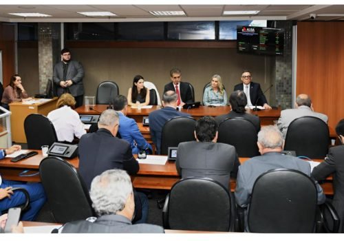 Procuradora de Contas foi sabatinada e teve a indicação ao TCM-BA aprovada na Comissão de Constituição e Justiça


Foto: PauloMocofaya/AgênciaALBA
