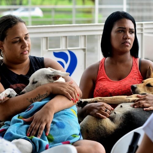 Foto: Fabiane Humildes / Secom PMS