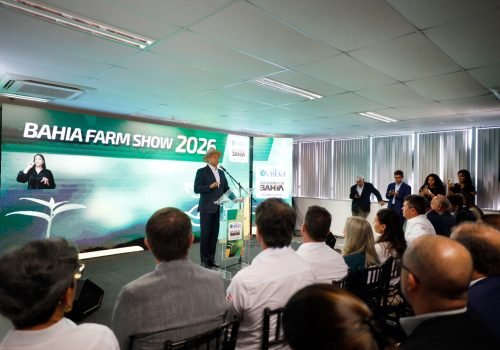 Foto: Amanda Ercília/GOVBA