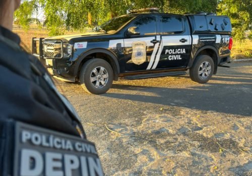 A ação tembém resultou na apreensão de arma de fogo e munições


Foto: ASCOM PCBA