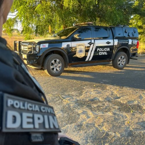 A ação tembém resultou na apreensão de arma de fogo e munições


Foto: ASCOM PCBA