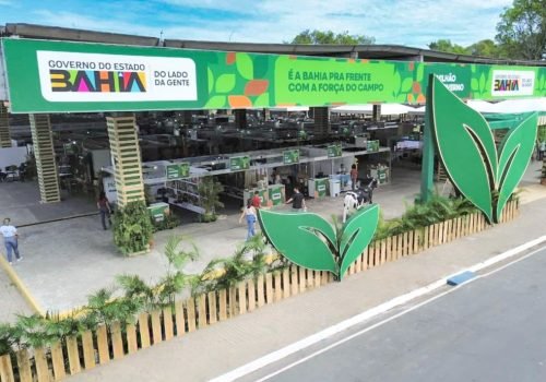 Foto: Divulgação/Seagri