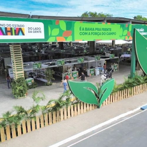 Foto: Divulgação/Seagri