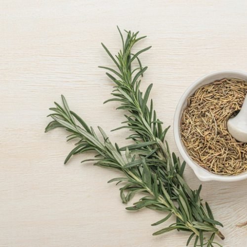 Foto: Freepik.com/Creative Commons