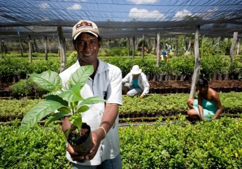 Por meio da plataforma do Contrata+Brasil, os MEIs e produtores ficam sabendo de oportunidades de negócios pelo WhatsApp

Foto: Reprodução / Ministério do Desenvolvimento Agrário e Agricultura Familiar