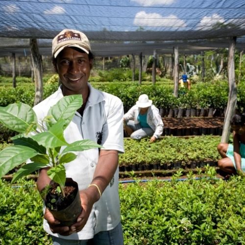 Por meio da plataforma do Contrata+Brasil, os MEIs e produtores ficam sabendo de oportunidades de negócios pelo WhatsApp

Foto: Reprodução / Ministério do Desenvolvimento Agrário e Agricultura Familiar