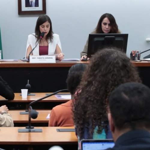 Grupo de Trabalho sobre Crimes Praticados em Razão de Misoginia

Foto: Bruno Spada/Câmara dos Deputados