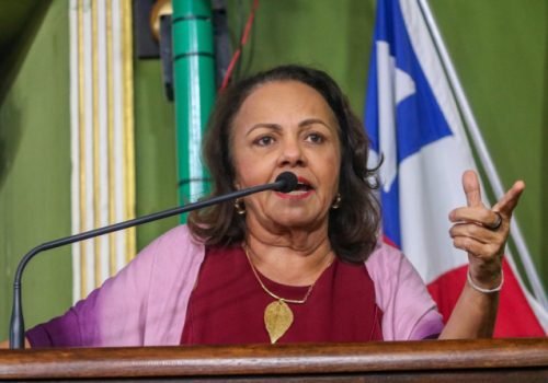 Foto: Victor Queirós/ Assessoria da Vereadora