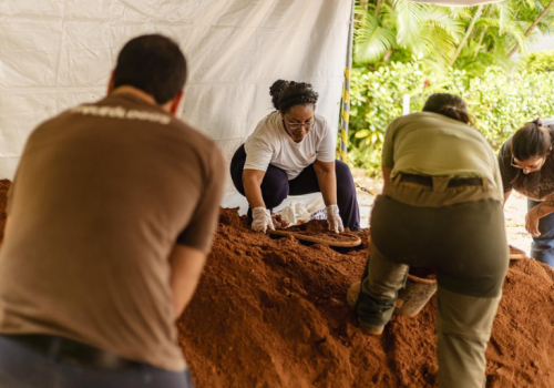 Fundação vê na descoberta do sítio arqueológico uma nova janela para o debate sobre reparação histórica

Foto: Fundação Palmares