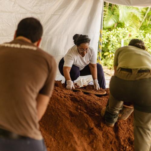 Fundação vê na descoberta do sítio arqueológico uma nova janela para o debate sobre reparação histórica

Foto: Fundação Palmares