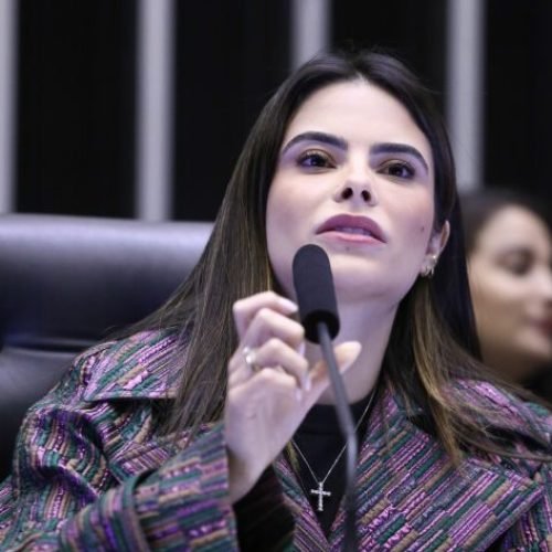 Yandra Moura é a autora da proposta

Fonte: Vinicius Loures/Câmara dos Deputados