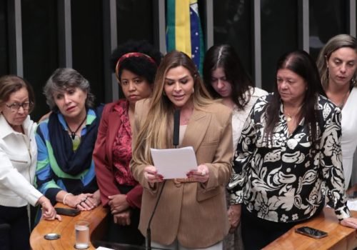 Bruno Spada/Câmara dos Deputados

Deputada Silvye Alves (C) lê parecer sobre o projeto, ao lado de outras parlamentares