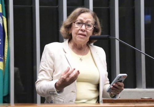 Lídice critica nudez de jovens em ato de Neto e contrapõe: “Jerônimo trouxe Lula e propostas para a Bahia”


Foto: Thiago Cristino / Câmara dos Deputados