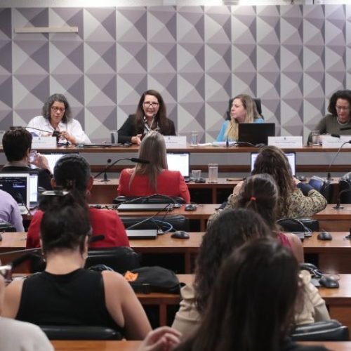 Reunião da Comissão Mista de Combate à Violência contra a Mulher debateu o tema

Foto: Bruno Spada/Câmara dos Deputados
