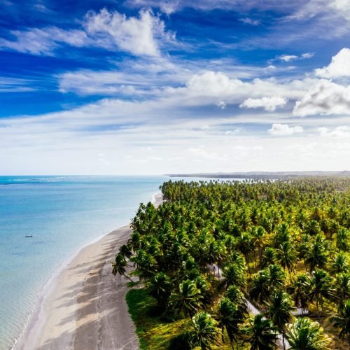 Foto: Freepik.com/Creative Commons