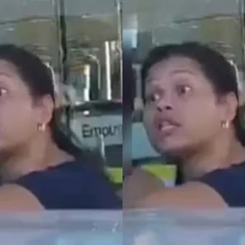 Jamiler Santos, de 40 anos,foi presa pelo crime de injúria racial

Foto: Reprodução