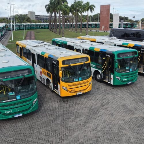 Foto: Divulgação / Secom PMS